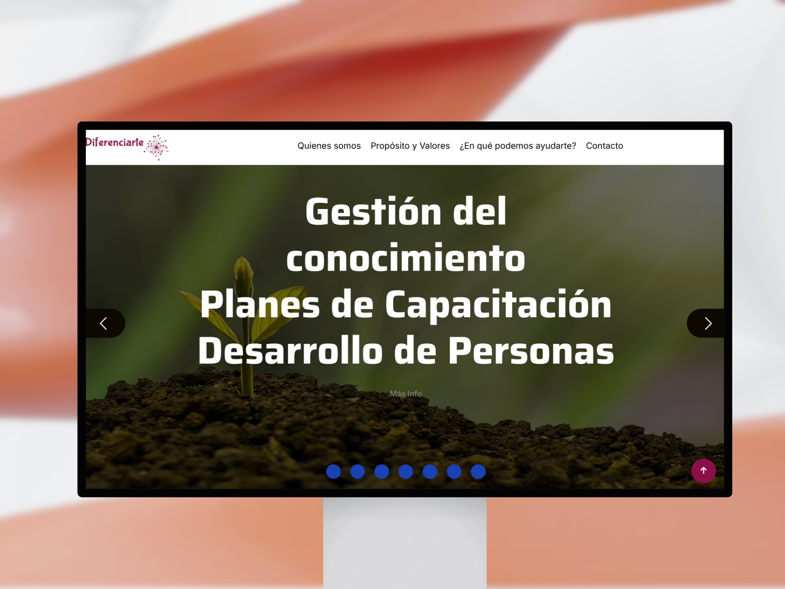 Imagen proyecto de la empresa  de la empresa Diferenciarte